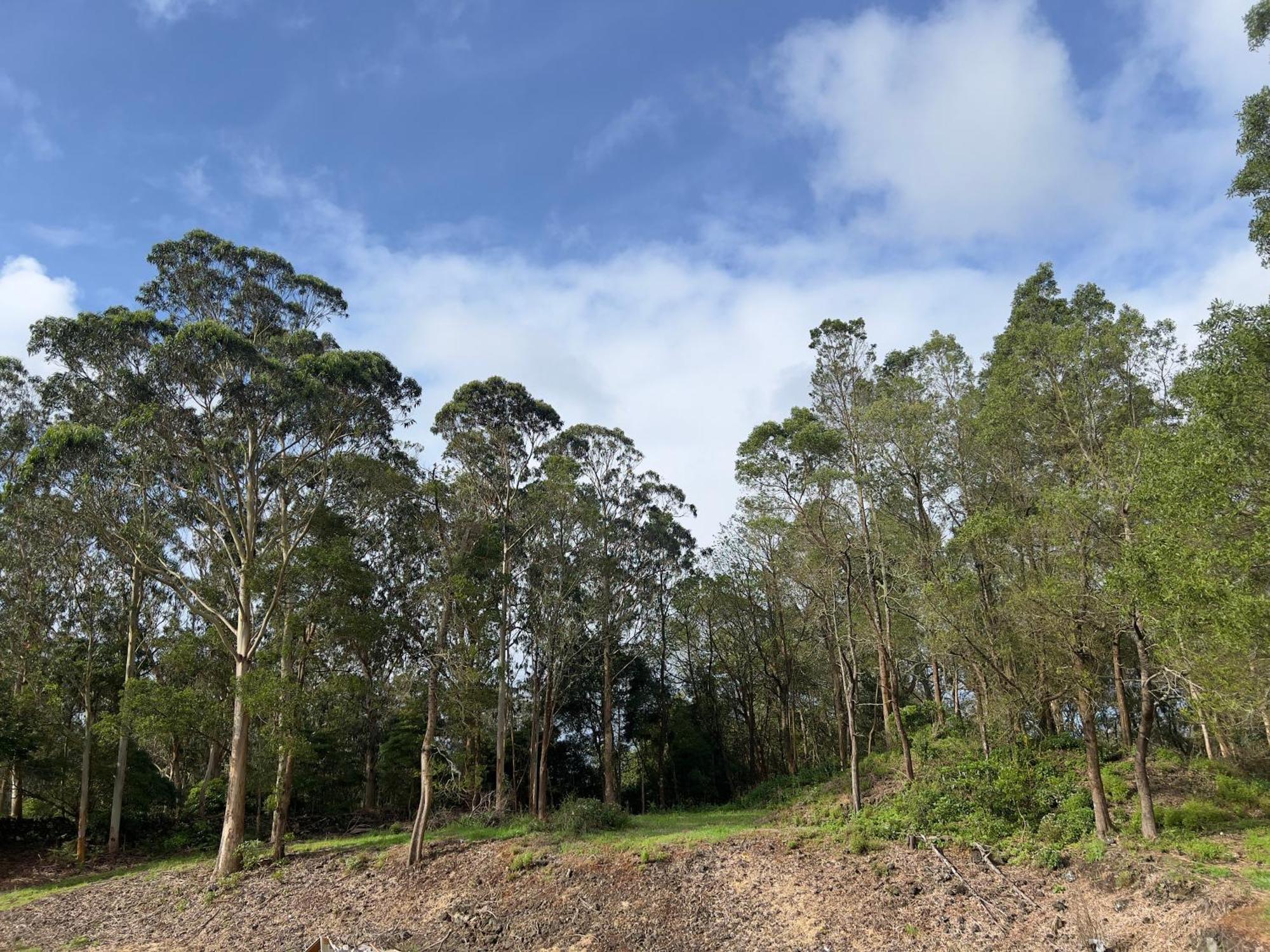 Appartamento Quinta Da Vigia Angra do Heroísmo Esterno foto